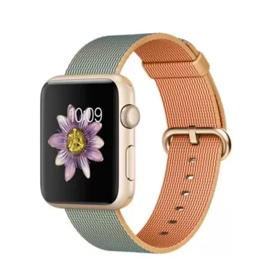 Apple watch series sale 1 42mm aluminium case