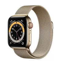 بررسی ساعت هوشمند اپل واچ سری 6 مدل 44mm Stainless Steel Case with Milanese Loop Steel Band